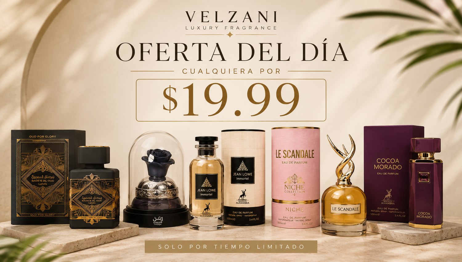 OFERTA DEL DIA - $19.99
